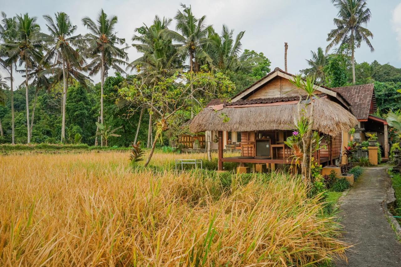 Villa Jj And Spa Ubud Exterior photo