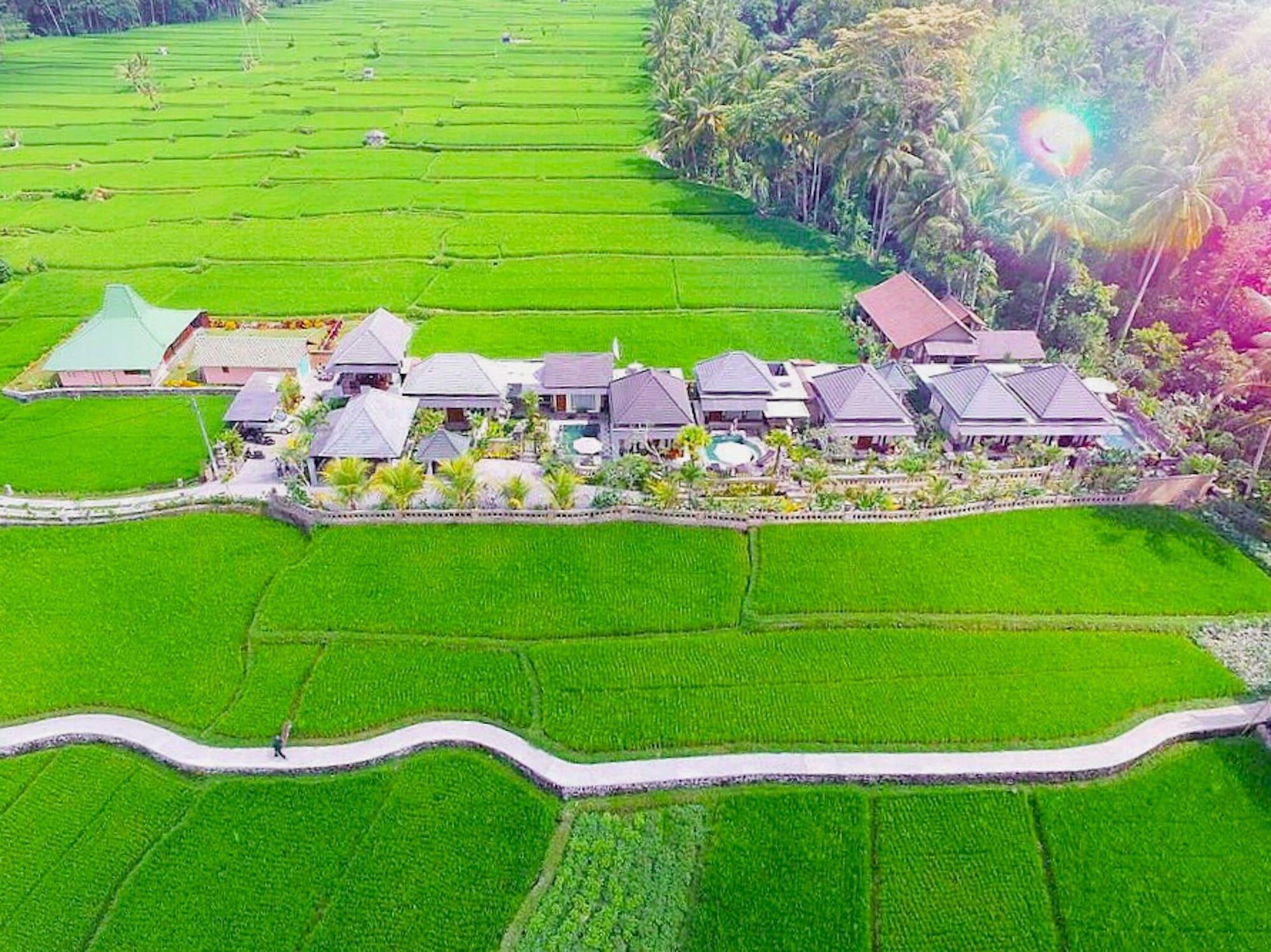 Villa Jj And Spa Ubud Exterior photo